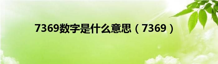 7369数字是什么意思（7369）