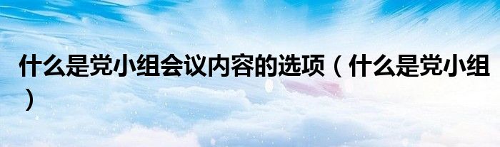 什么是党小组会议内容的选项（什么是党小组）