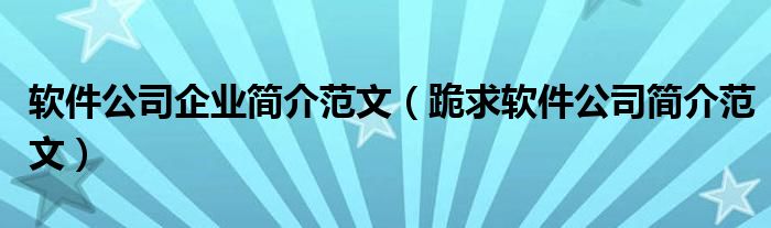 软件公司企业简介范文（跪求软件公司简介范文）