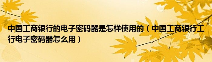 中国工商银行的电子密码器是怎样使用的（中国工商银行工行电子密码器怎么用）
