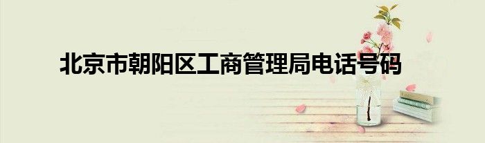 北京市朝阳区工商管理局电话号码