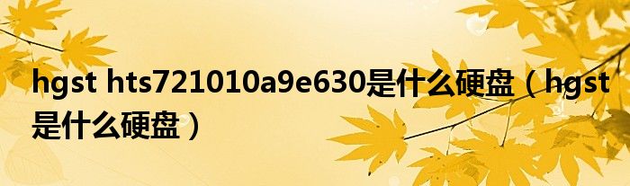 hgst hts721010a9e630是什么硬盘（hgst是什么硬盘）