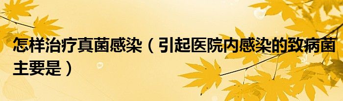 怎样治疗真菌感染（引起医院内感染的致病菌主要是）