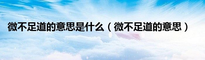 微不足道的意思是什么（微不足道的意思）