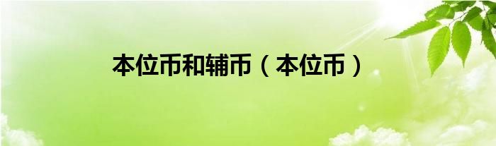 本位币和辅币（本位币）