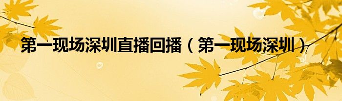第一现场深圳直播回播（第一现场深圳）