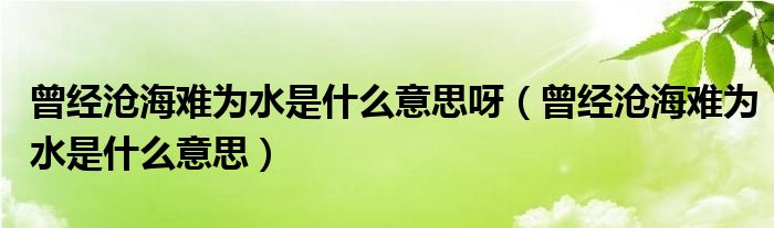 曾经沧海难为水是什么意思呀（曾经沧海难为水是什么意思）