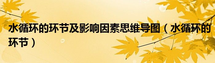 水循环的环节及影响因素思维导图（水循环的环节）