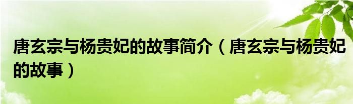 唐玄宗与杨贵妃的故事简介（唐玄宗与杨贵妃的故事）