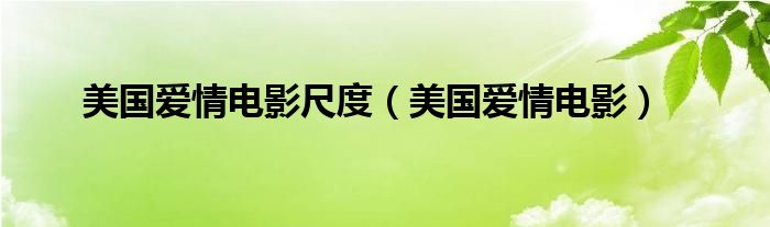 美国爱情电影尺度（美国爱情电影）