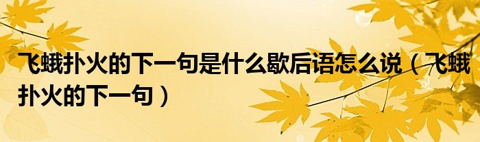 飞蛾扑火的下一句是什么歇后语怎么说（飞蛾扑火的下一句）
