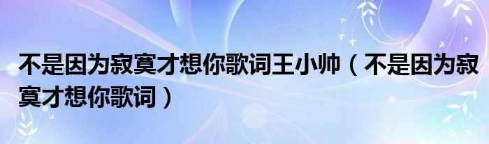 不是因为寂寞才想你歌词王小帅（不是因为寂寞才想你歌词）