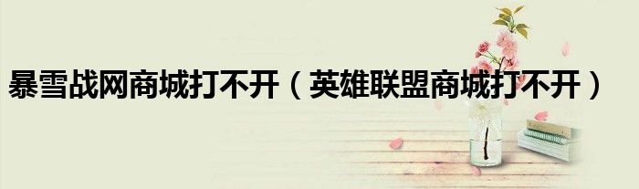 暴雪战网商城打不开（英雄联盟商城打不开）