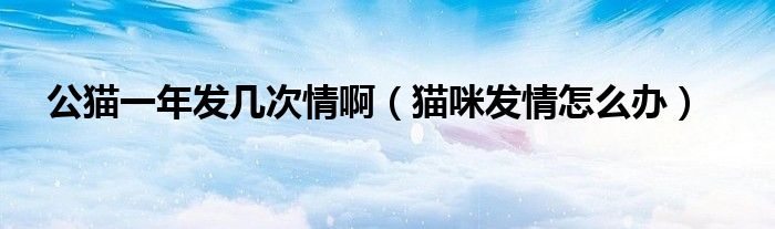 公猫一年发几次情啊（猫咪发情怎么办）