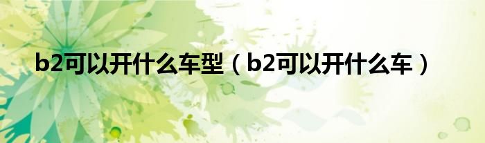 b2可以开什么车型（b2可以开什么车）