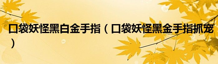 口袋妖怪黑白金手指（口袋妖怪黑金手指抓宠）