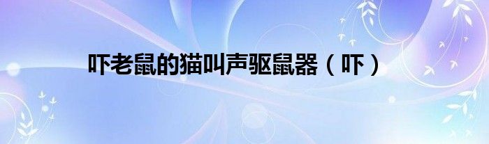 吓老鼠的猫叫声驱鼠器（吓）