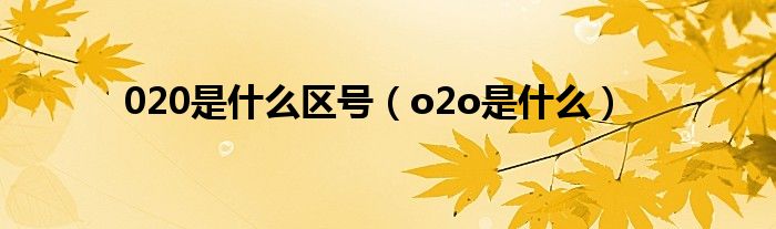 020是什么区号（o2o是什么）