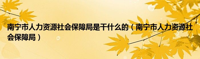 南宁市人力资源社会保障局是干什么的（南宁市人力资源社会保障局）