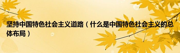 坚持中国特色社会主义道路（什么是中国特色社会主义的总体布局）