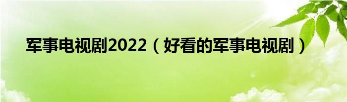 军事电视剧2022（好看的军事电视剧）
