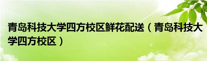 青岛科技大学四方校区鲜花配送（青岛科技大学四方校区）