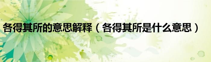 各得其所的意思解释（各得其所是什么意思）