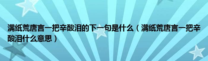 满纸荒唐言一把辛酸泪的下一句是什么（满纸荒唐言一把辛酸泪什么意思）