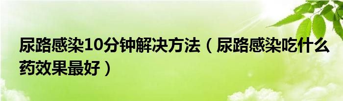尿路感染10分钟解决方法（尿路感染吃什么药效果最好）