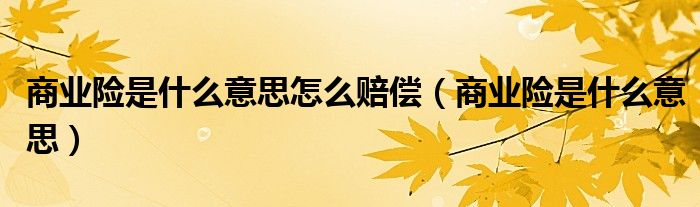 商业险是什么意思怎么赔偿（商业险是什么意思）
