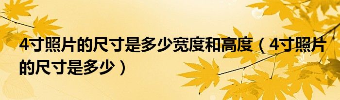 4寸照片的尺寸是多少宽度和高度（4寸照片的尺寸是多少）