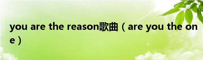 you are the reason歌曲（are you the one）