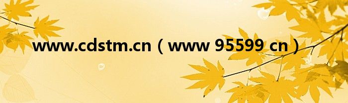 www.cdstm.cn（www 95599 cn）