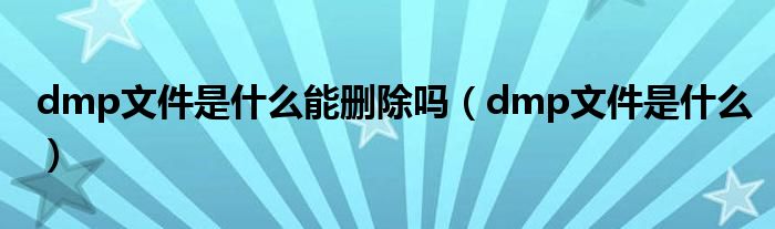 dmp文件是什么能删除吗（dmp文件是什么）