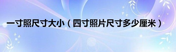 一寸照尺寸大小（四寸照片尺寸多少厘米）