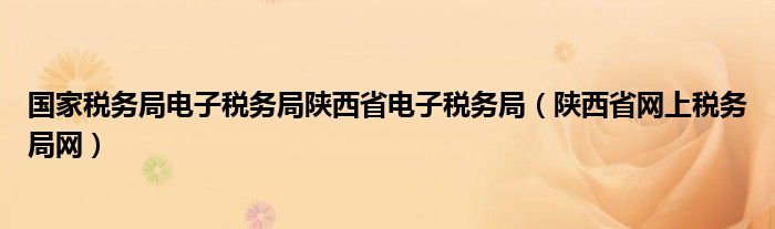国家税务局电子税务局陕西省电子税务局（陕西省网上税务局网）
