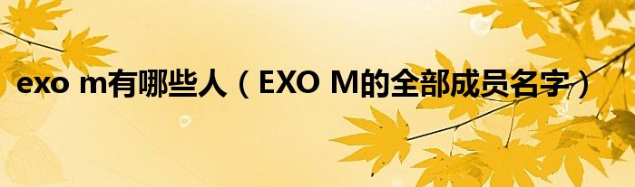exo m有哪些人（EXO M的全部成员名字）