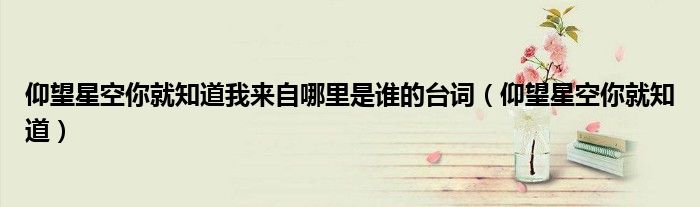 仰望星空你就知道我来自哪里是谁的台词（仰望星空你就知道）
