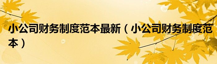 小公司财务制度范本最新（小公司财务制度范本）