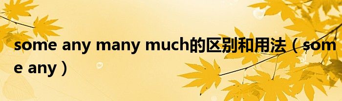 some any many much的区别和用法（some any）