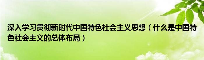 深入学习贯彻新时代中国特色社会主义思想（什么是中国特色社会主义的总体布局）