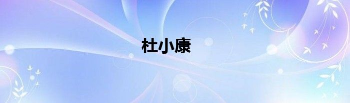 杜小康