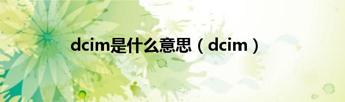 dcim是什么意思（dcim）