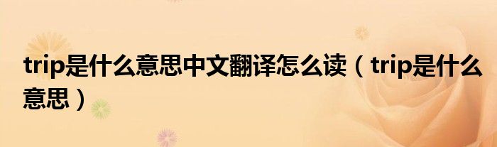 trip是什么意思中文翻译怎么读（trip是什么意思）