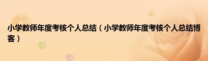 小学教师年度考核个人总结（小学教师年度考核个人总结博客）