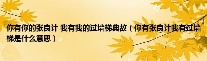 你有你的张良计 我有我的过墙梯典故（你有张良计我有过墙梯是什么意思）