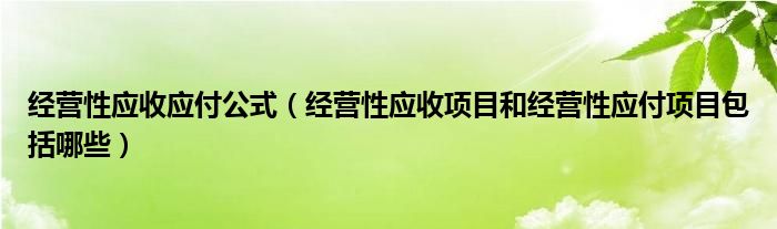 经营性应收应付公式（经营性应收项目和经营性应付项目包括哪些）