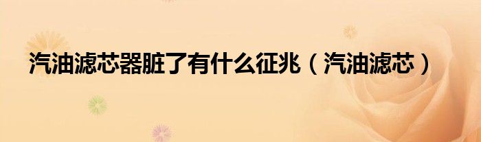 汽油滤芯器脏了有什么征兆（汽油滤芯）