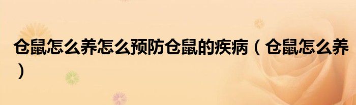 仓鼠怎么养怎么预防仓鼠的疾病（仓鼠怎么养）