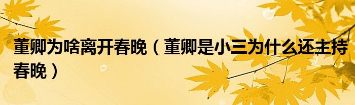 董卿为啥离开春晚（董卿是小三为什么还主持春晚）